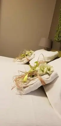 Deluxe Tek Büyük Yataklı Oda (Green)