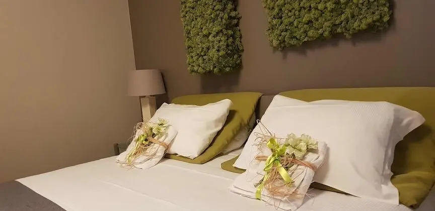 Deluxe Tek Büyük Yataklı Oda (Green)