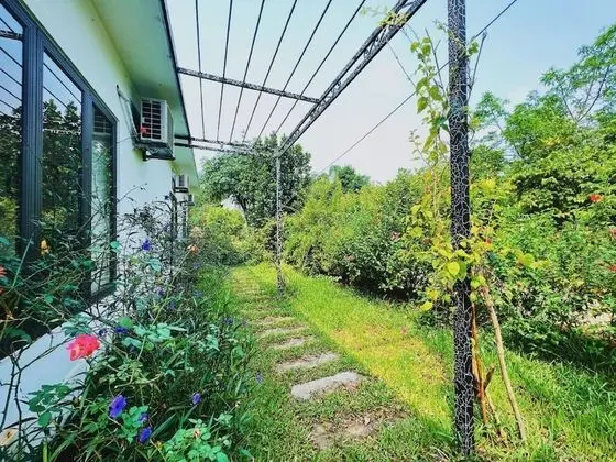 Deluxe Villa