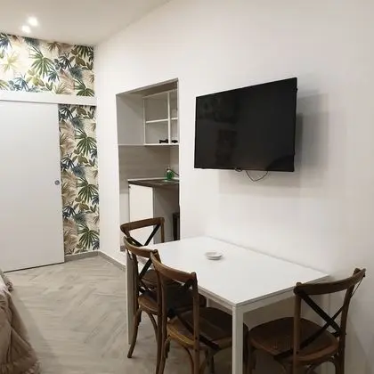 Stüdyo, 1 Çift Kişilik Yatak ve Çekyat