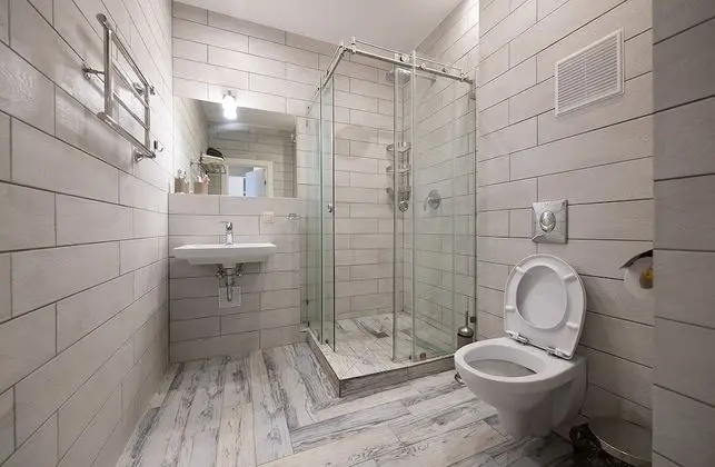 Süit
