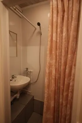 Economy Tek Büyük Yataklı Oda, Penceresiz (Shower)