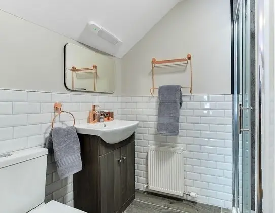 Tek Büyük Yataklı Oda, Banyolu/Duşlu (Room 1)