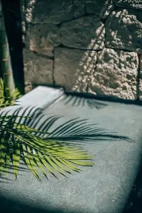 Apart Daire, 2 Yatak Odası, Kişiye Özel Havuzlu (Jungle Arthouse)
