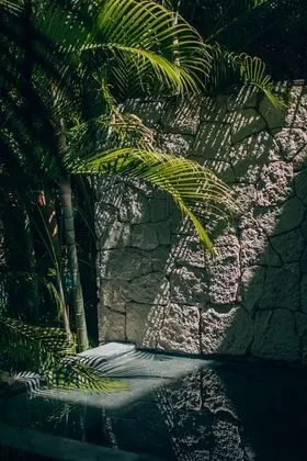 Apart Daire, 2 Yatak Odası, Kişiye Özel Havuzlu (Jungle Arthouse)