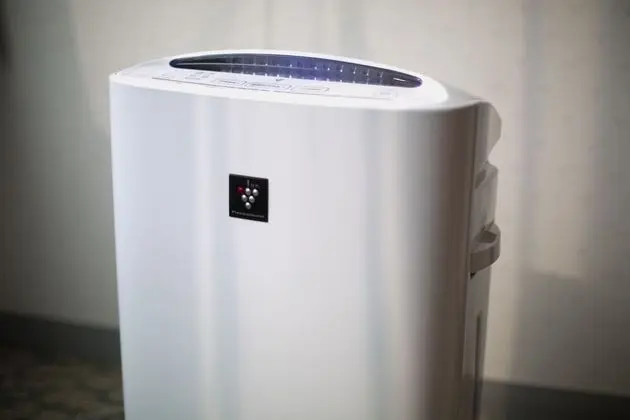 Standard Tek Büyük Yataklı Oda, Sigara İçilmez (Renewal)