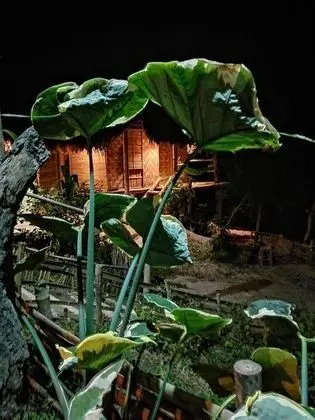 Romantic Bungalov, Balkon, Nehir Manzaralı