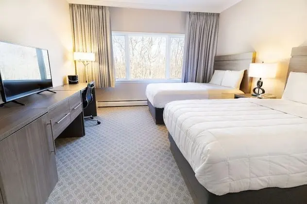 Hotel Full Beds