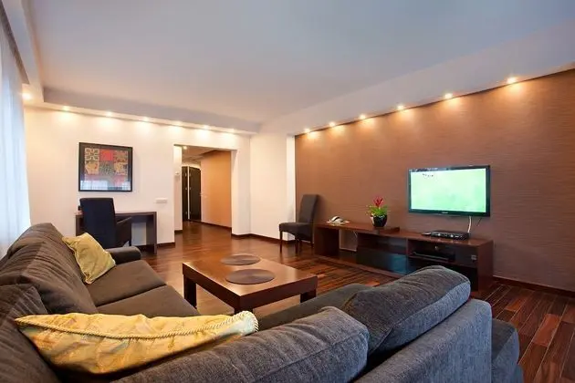 Premier Apart Daire, 1 Çift Kişilik Yatak, Banyolu/Duşlu