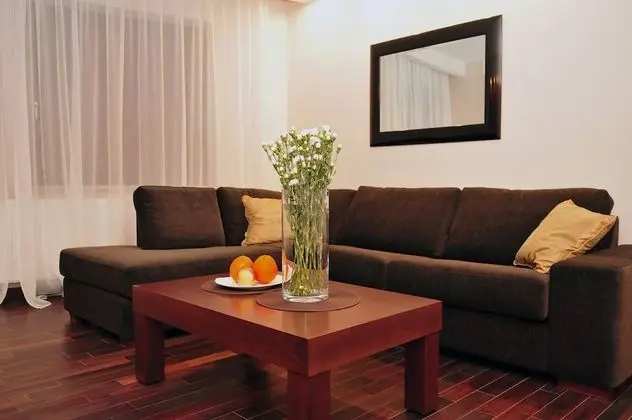 Premier Apart Daire, 1 Çift Kişilik Yatak, Banyolu/Duşlu