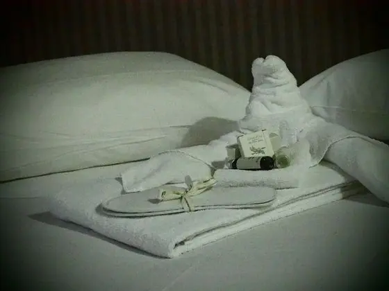 Comfort Apart Daire, 1 Yatak Odası