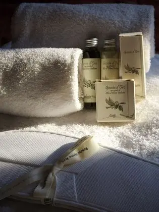 Executive Apart Daire, 1 Yatak Odası