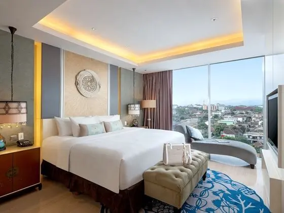 Artsy Suite