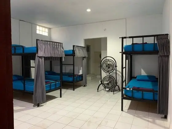Bunk Bed in Mixed Dormitory Room