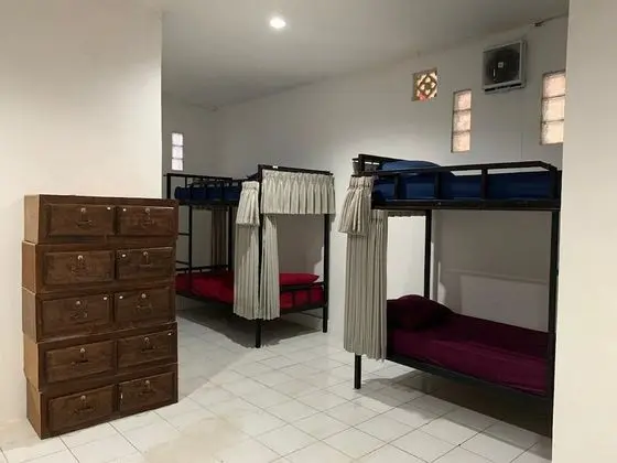 Bunk Bed in Mixed Dormitory Room