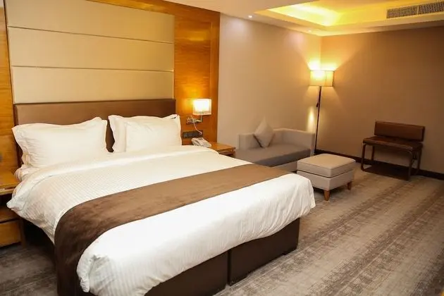 Executive Tek Büyük Yataklı Oda, 1 En Büyük (King) Boy Yatak, Sigara İçilebilir, Şehir Manzaralı