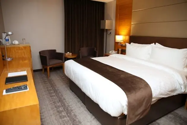 Superior Tek Büyük Yataklı Oda, 1 En Büyük (King) Boy Yatak, Şehir Manzaralı