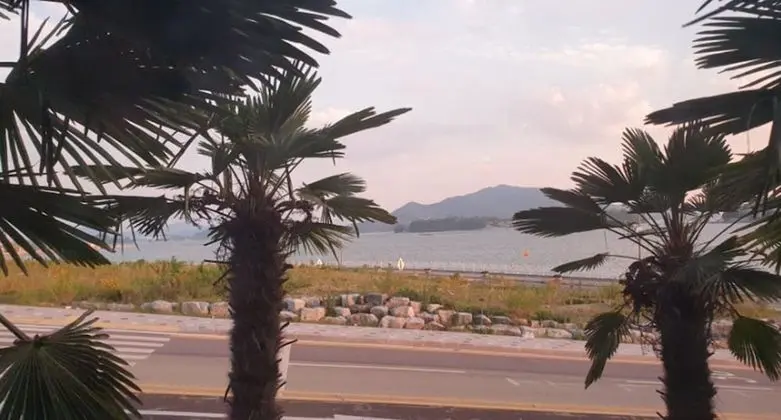 Half Ocean View Deluxe