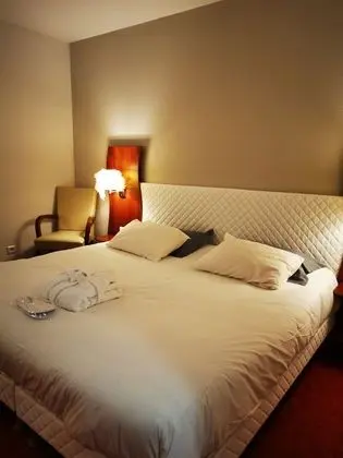 Superior Tek Büyük Yataklı Oda, 1 En Büyük (King) Boy Yatak, Sigara İçilmez, Özel Banyo