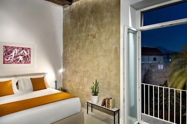 Tek Büyük Yataklı Oda, Balkon, Bahçe Manzaralı (Clio)