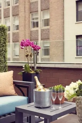 Deluxe Queen Terrace