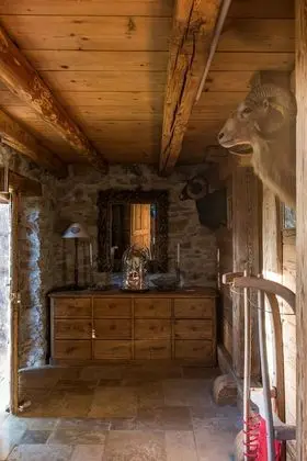 Superior Dağ Evi