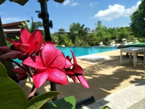 Deluxe Villa, Bahçe Manzaralı
