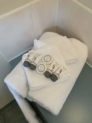 Oda, 1 Büyük (Queen) Boy Yatak, Jakuzi (Spa Bath)