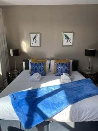 Superior Tek Büyük veya İki Ayrı Yataklı Oda, Banyolu/Duşlu