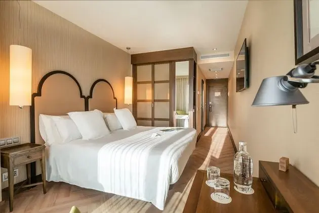 Standard Büyük Yataklı Tek Kişilik Oda (Astur)