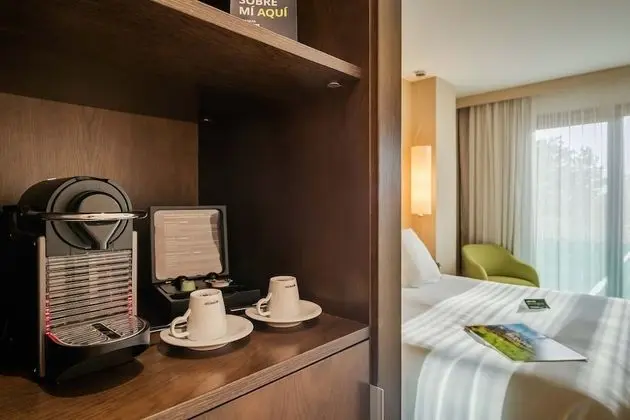 Standard Tek Büyük Yataklı Oda, Teras (Astur Terrace)