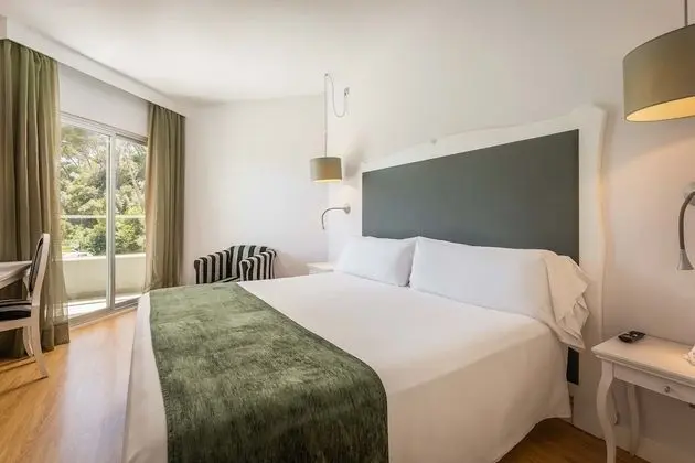 Premium Tek Büyük Yataklı Oda, Balkon