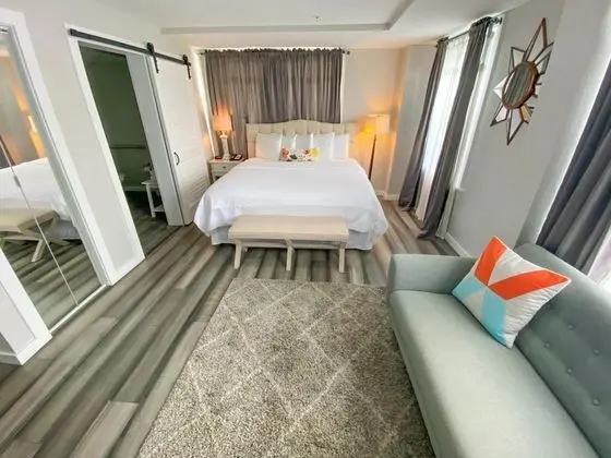 Luxury Oda, 1 En Büyük (King) Boy Yatak, Engellilere Uygun