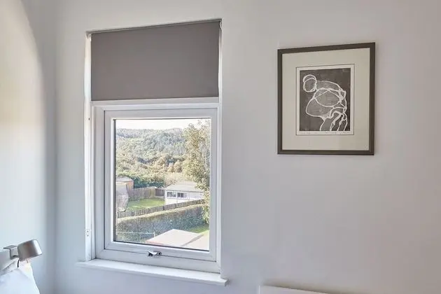Ev