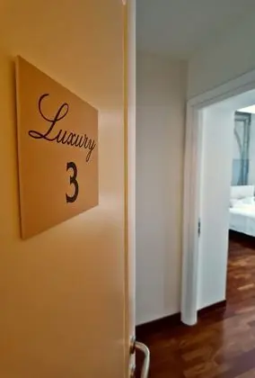 Deluxe Oda, 1 Yatak Odası, Özel Banyo, Şehir Manzaralı