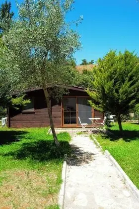 Family Bungalov, 2 Yatak Odası, Engellilere Uygun, Bahçe Manzaralı