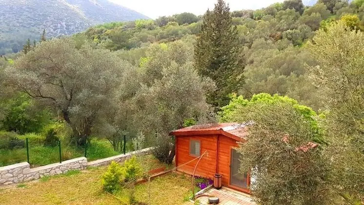 Family Bungalov, 2 Yatak Odası, Engellilere Uygun, Bahçe Manzaralı