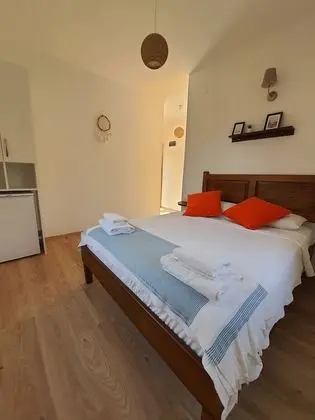 Standard Tek Büyük Yataklı Oda, 1 Çift Kişilik Yatak, Bahçe Manzaralı