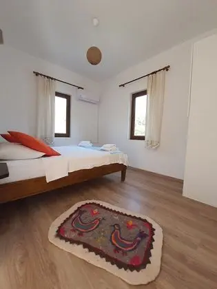 Standard Tek Büyük Yataklı Oda, 1 Çift Kişilik Yatak, Bahçe Manzaralı
