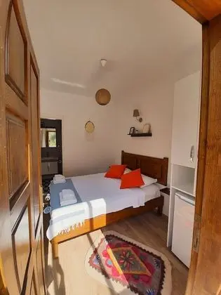 Standard Tek Büyük Yataklı Oda, 1 Çift Kişilik Yatak, Dağ Manzaralı