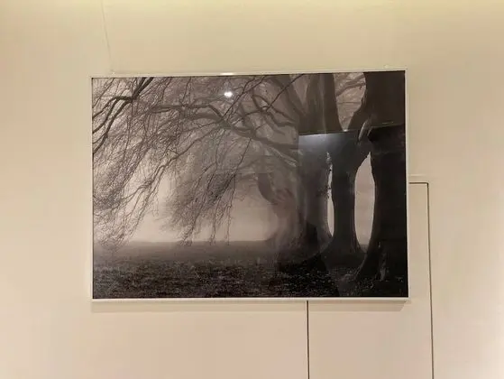 Dört Kişilik Oda (Deluxe)