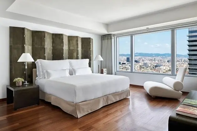 Çatı Katı Süiti (Penthouse), 1 Çift Kişilik Yatak, Şehir Manzaralı