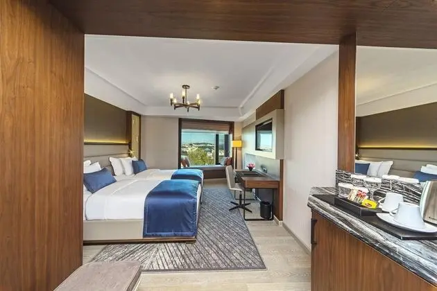 Standart Oda,Şehir Manzaralı