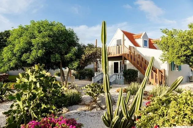 Penthouse, 1 Bedroom, 1st floor, Balcony, Garden View