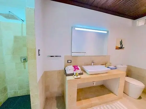 Deluxe Apart Daire, Engellilere Uygun, Özel Banyo (APARTMENT 2)