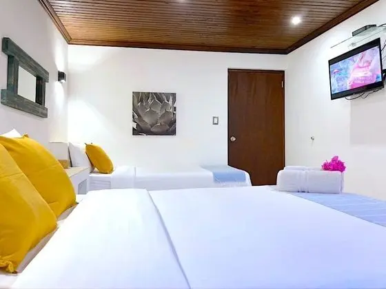Deluxe Apart Daire, Özel Banyo, Avlu Manzaralı (APARTAMENTO 1)
