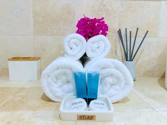 Deluxe Apart Daire, Özel Banyo, Avlu Manzaralı (APARTAMENTO 1)