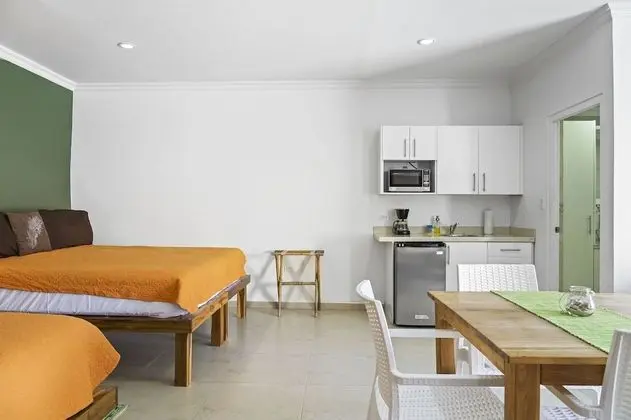 Family Tek Büyük Yataklı Oda, Buzdolabı ve Mikrodalga, Havuz Kenarı