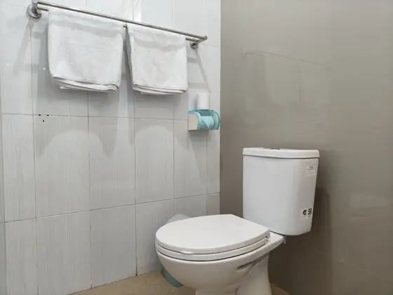 Executive Tek Büyük Yataklı Oda