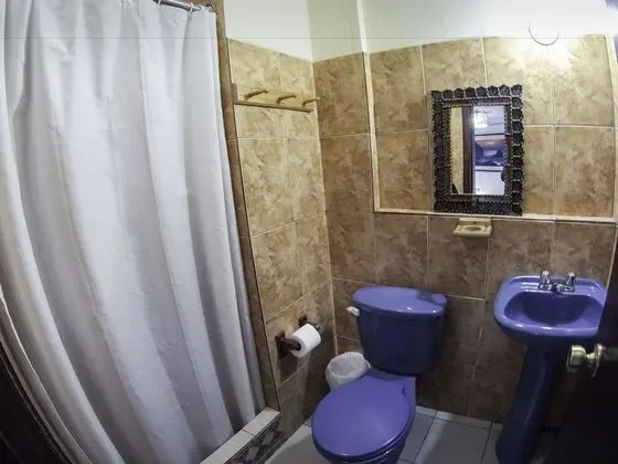 Premium Tek Büyük Yataklı Oda, 1 Çift Kişilik Yatak, Bahçe Manzaralı, Bahçeli
